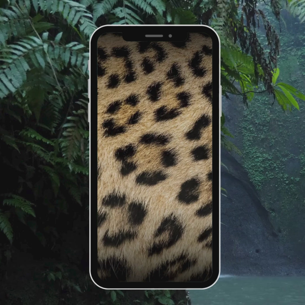 Leopard Print Birthday Invite